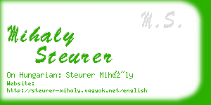 mihaly steurer business card